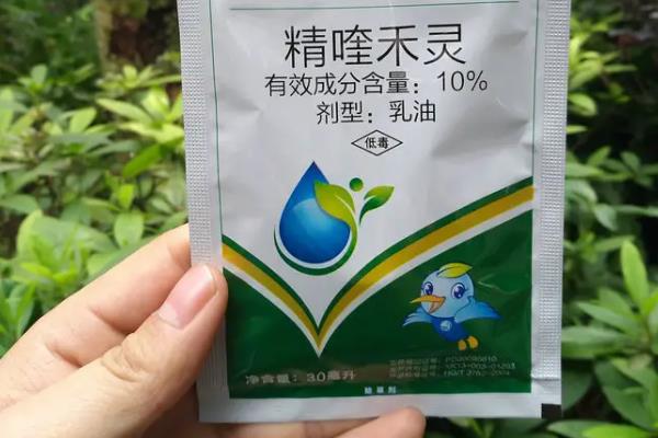 大豆苗后除草劑有哪些