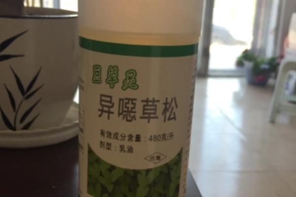 大豆苗后除草劑有哪些